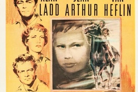Affiche du film Shane