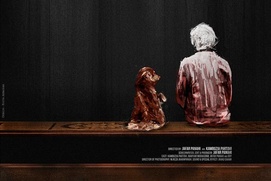 Affiche du film Closed Curtain