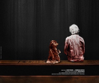 Affiche du film Closed Curtain