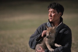 Une scène du film Wolf Totem