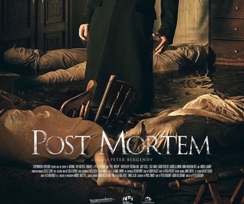 Affiche du film Post Mortem