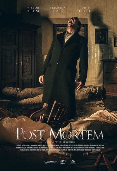 Affiche du film Post Mortem
