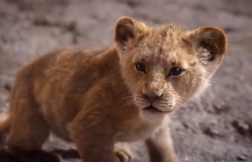 Une scène du film The Lion King
