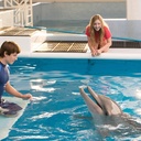 Photo de Nathan Gamble