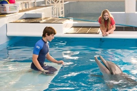 Une scène du film Dolphin Tale 2 Une scène du film Dolphin Tale 2