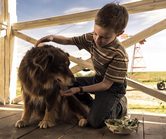 Une scène du film L'extravagant voyage du jeune et prodigieux T.S. Spivet