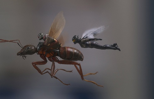 Une scène du film Ant-Man and The Wasp