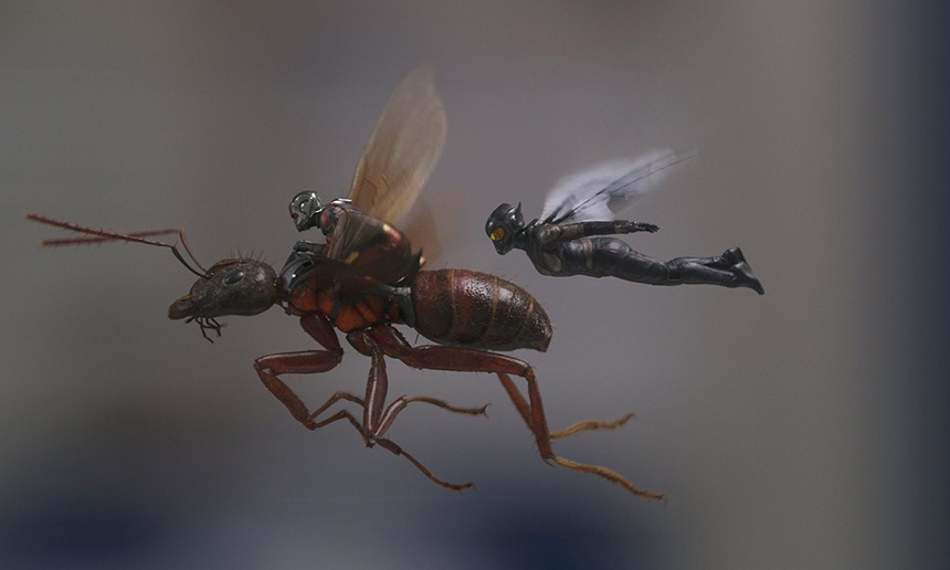 Sorties à la maison : Ant-Man and The Wasp