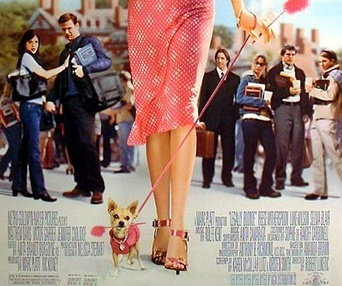Affiche du film Legally Blonde