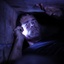Ryan  Reynolds dans le film Buried