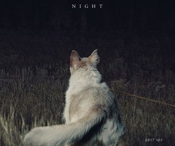 Affiche du film It Comes At Night