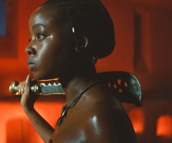Image du film The Woman King