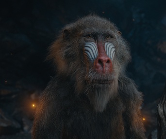 Une scène du film Mufasa: The Lion King