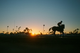 Image du film Jockey
