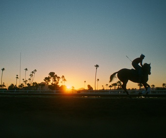 Image du film Jockey