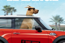 Affiche du film Marmaduke Affiche du film Marmaduke
