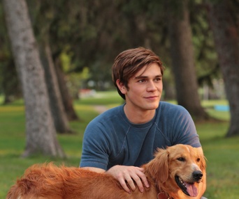 Une scène du film A Dog's Purpose