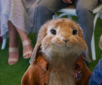 Une scène du film Peter Rabbit 2: The Runaway