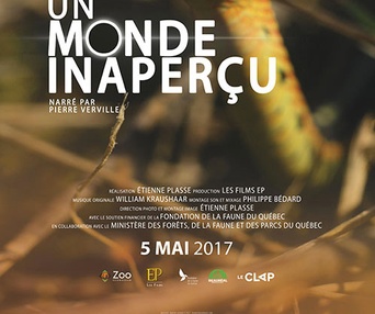 Affiche du film Un monde inaperçu