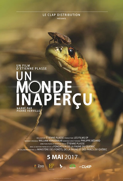 Affiche du film Un monde inaperçu