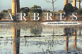 Affiche du film Arbres