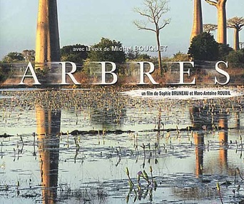 Affiche du film Arbres