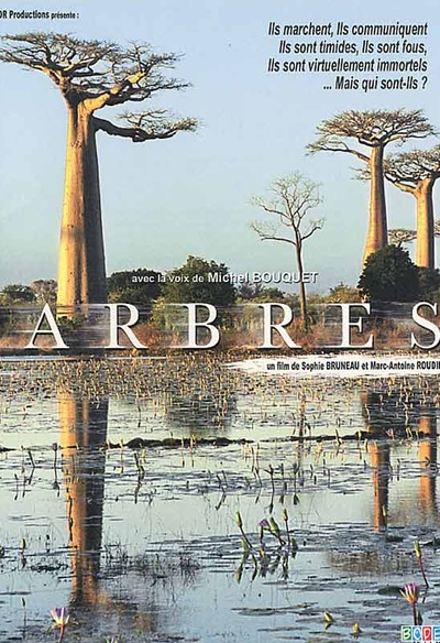 Affiche du film Arbres