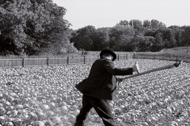 Une scène du film Le ruban blanc Une scène du film Le ruban blanc