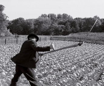 Une scène du film Le ruban blanc