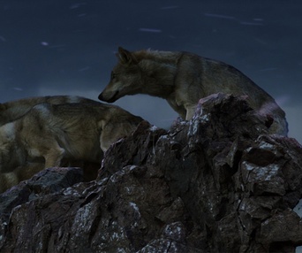 Une scène du film Wolf Totem