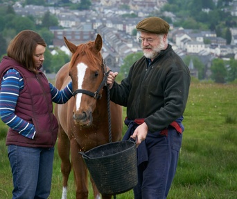Une scène du film Dream Horse