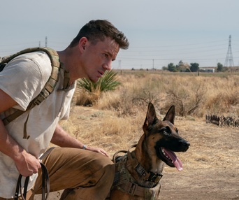 Une scène du film Dog