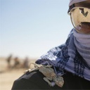Une scène du film The Hurt Locker