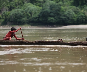 Une scène du film The Green Inferno