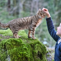 Photo de Capucine Sainson-Fabresse