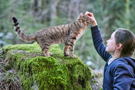 Une scène du film Mon chat et moi, la grande aventure de Rroû