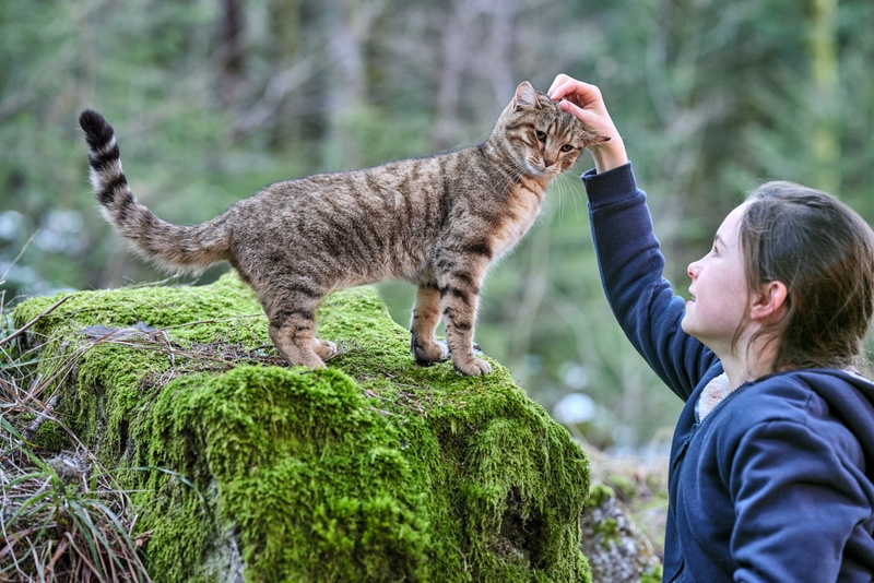 Une scène du film Mon chat et moi, la grande aventure de Rroû