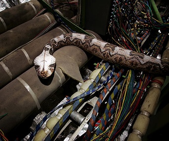Scène du film Serpents à bord