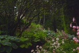 Une scène du film The Gardener Une scène du film The Gardener