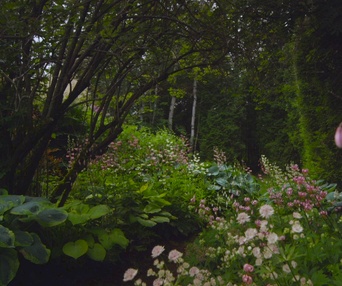 Une scène du film The Gardener