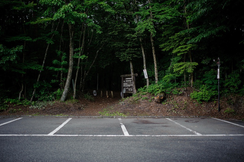 Une scène du film The Forest