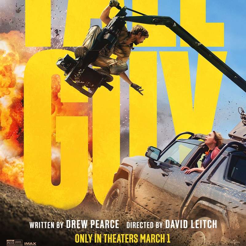 Affiche du film The Fall Guy