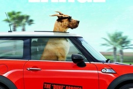 Images du film Marmaduke Images du film Marmaduke