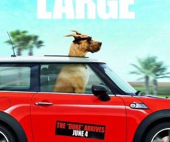 Images du film Marmaduke