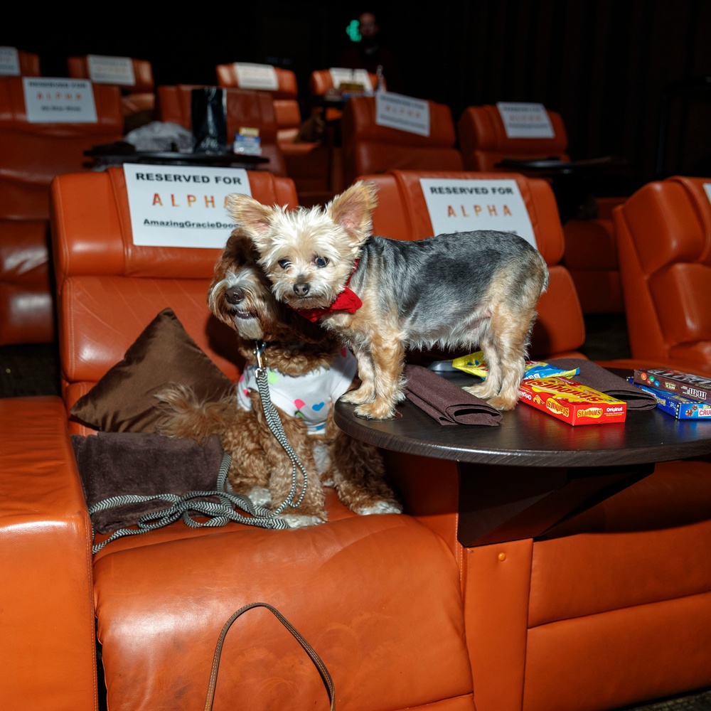 Première du film Alpha à Los Angeles