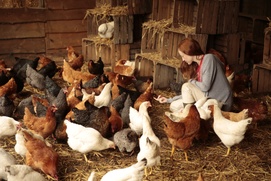 Une scène du film Au fil des saisons