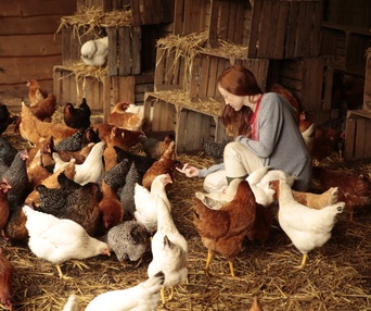 Une scène du film Au fil des saisons