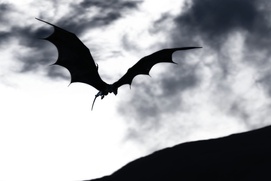 Une scène du film Dragons 3D: Real Myths and Unreal Creatures Une scène du film Dragons 3D: Real Myths and Unreal Creatures