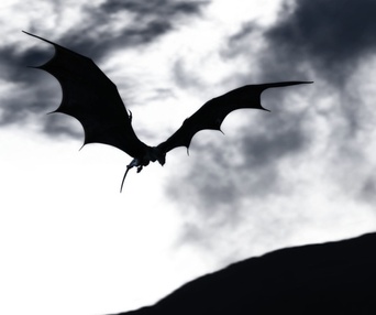 Une scène du film Dragons 3D: Real Myths and Unreal Creatures