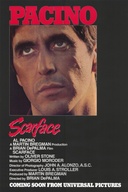 Affiche du film Le balafré